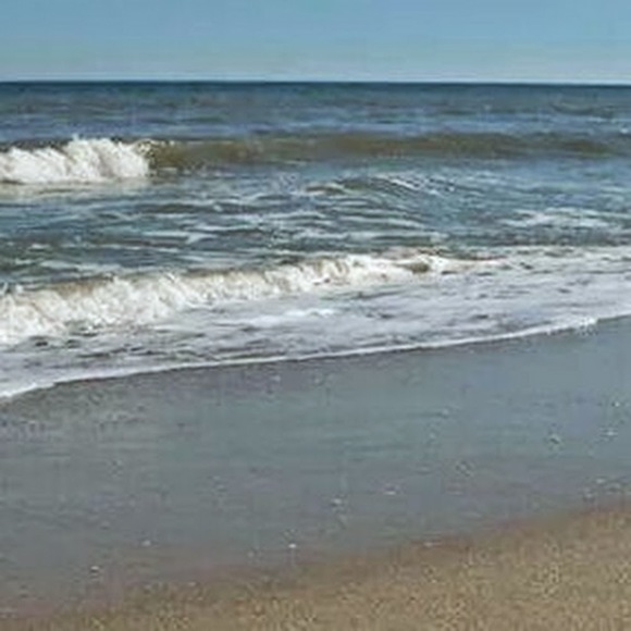 Meet your Posher, Julie - Picture 1 of 1